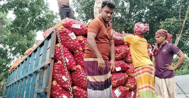 পেঁয়াজ চাষিদের হাহাকার, লাভ তো দূরের কথা খরচই উঠছে না