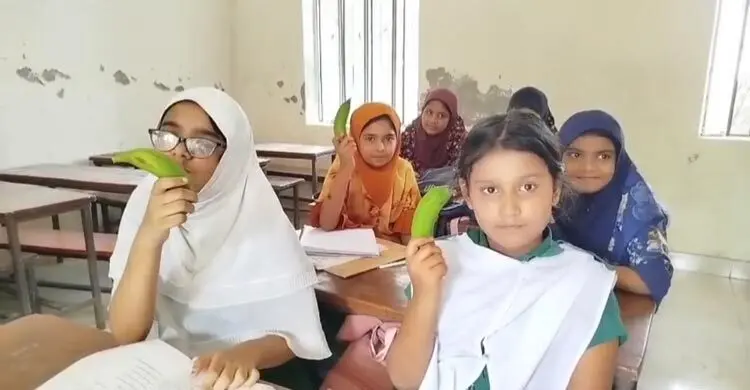 শিক্ষার্থীদের টিফিনে কাঁচা কলা, সহকারী শিক্ষক বরখাস্ত