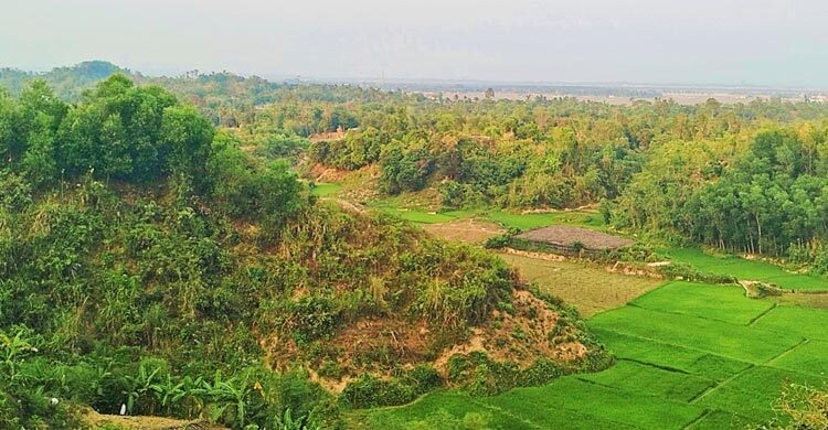 টেকনাফে জমি থেকে ৫ কৃষককে অপহরণ