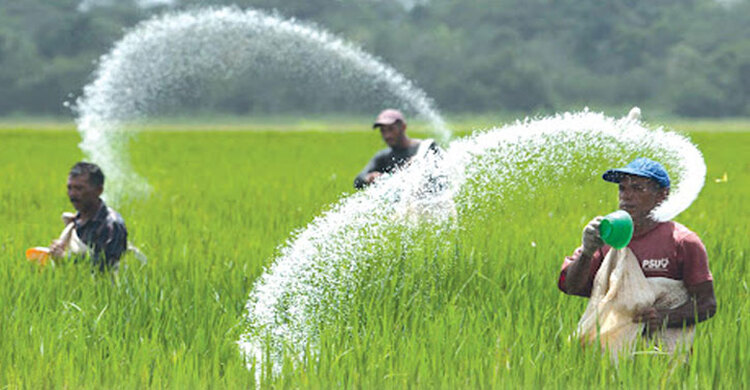 সৌদি-মরক্কো-কানাডা থেকে ইউরিয়া-টিএসপি-এমওপি কিনবে সরকার