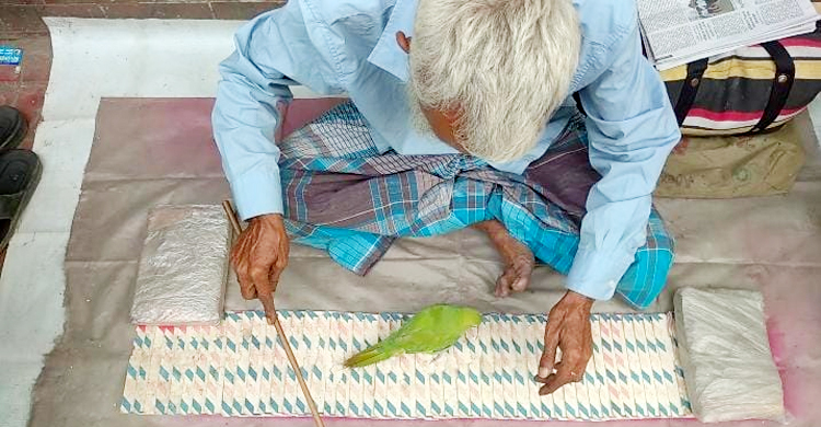 ‘পাখি দিয়ে ভাগ্য গণনা শুধুই মনের সান্ত্বনা’