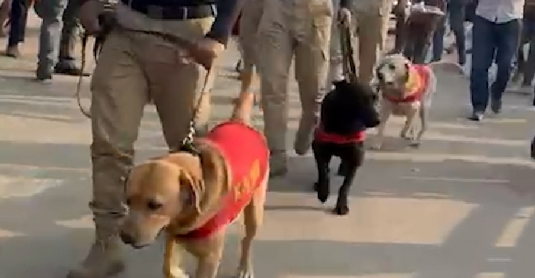 ৩০০ ফিটের মঞ্চে নিরাপত্তা জোরদার, ডগ স্কোয়াড দিয়ে তল্লাশি