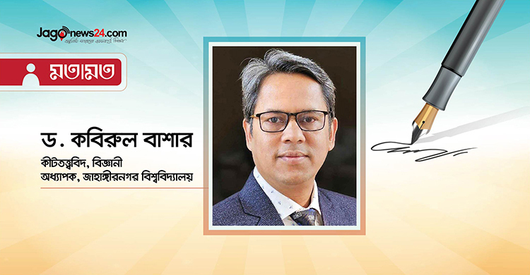 নীতি ও বাস্তবতার ফাঁকেই বাড়ছে ডেঙ্গুতে মৃত্যু