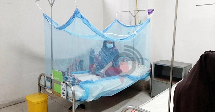 একদিনে বরিশালে আরও ২৭৭ জনের ডেঙ্গু শনাক্ত