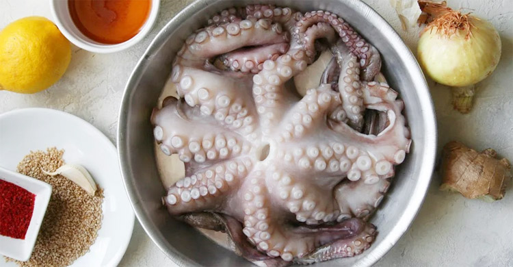 বিশ্বজুড়ে অক্টোপাস খাওয়ার সংস্কৃতি