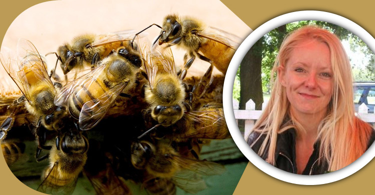 মৌমাছির কামড়ে মৃত্যু নয়, নতুন জীবন পান এলি