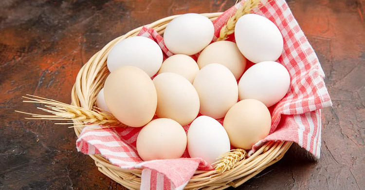 ডিমের যত রেকর্ড