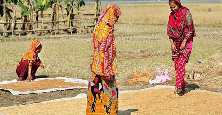 গ্রামীণ নারীদের অবদানকে স্বীকৃতি ও অধিকার সময়ের দাবি