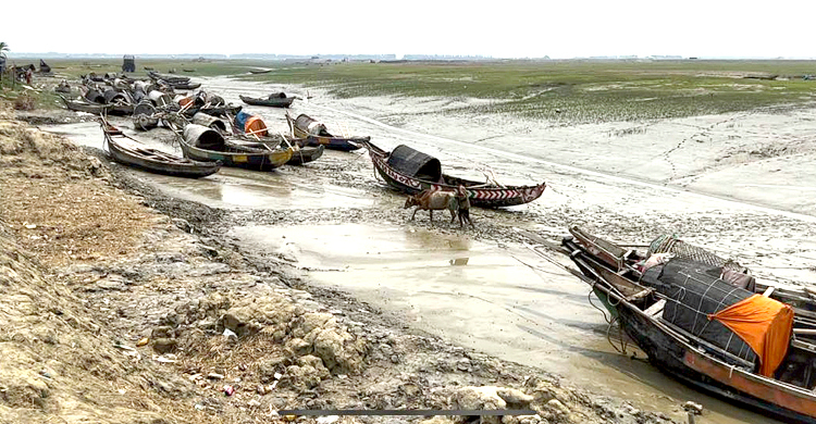 সোনাগাজীতে ১১ দিনেও সহায়তা পাননি জেলেরা