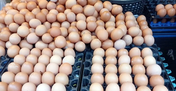 ‘মাছ-মাংসের দাম বেশি তাই ডিম কিনি, তাও ৫৫ টাকা হালি’