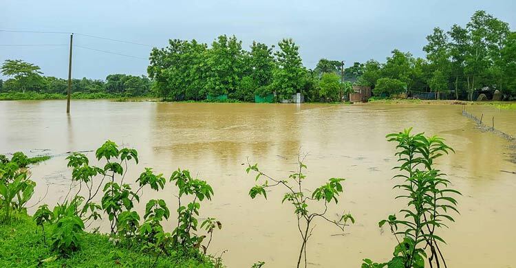 বিভিন্ন দেশে বৃষ্টি-বন্যায় প্রাণহানি, কতটা শঙ্কায় বাংলাদেশ?