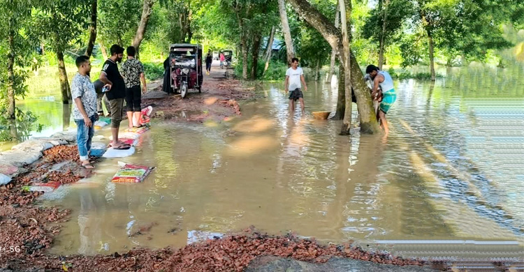 প্রতি বছর মেরামত, প্রতি বছর বাঁধে ভাঙন