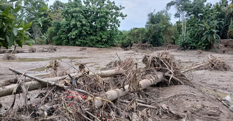 ফেনীতে এবারের বন্যায় ২৩৮ কোটি টাকার ক্ষতি