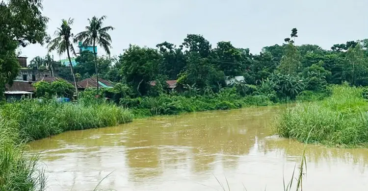 কমছে মুহুরী-কহুয়া-সিলোনীয়ার পানি, তবে বেড়িবাঁধ নিয়ে শঙ্কা