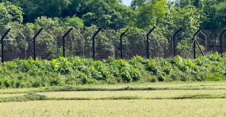 ফেনী সীমান্তে বিএসএফের গুলিতে বাংলাদেশি যুবক নিহত