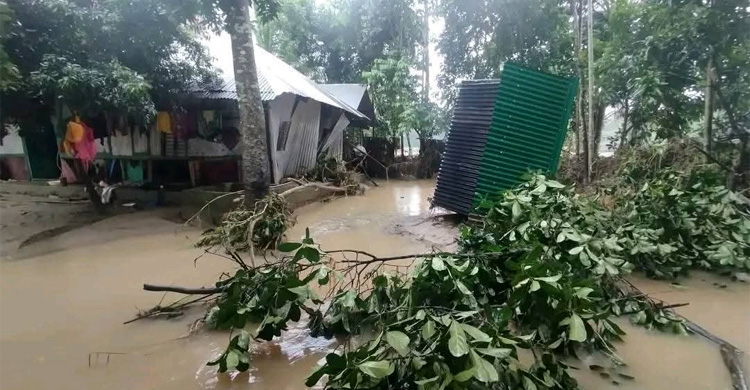 পানি কমতে বেরিয়ে আসছে বন্যার ক্ষত