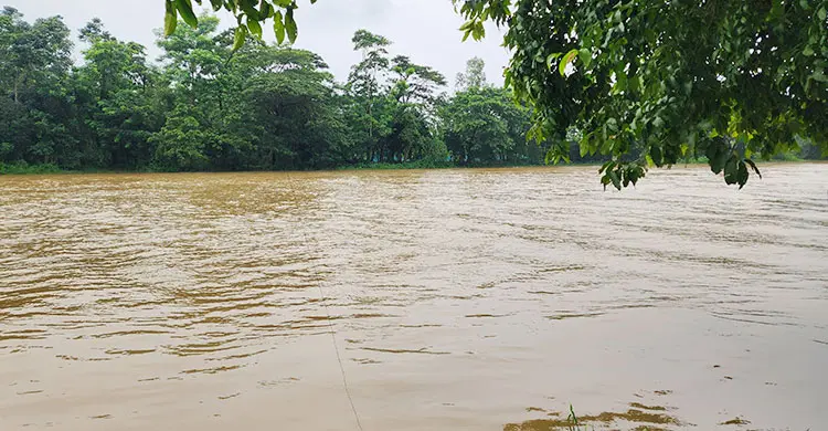 ফেনীতে মুহুরী নদীর পানি আশঙ্কাজনক হারে বাড়ছে, ভাঙন আতঙ্ক
