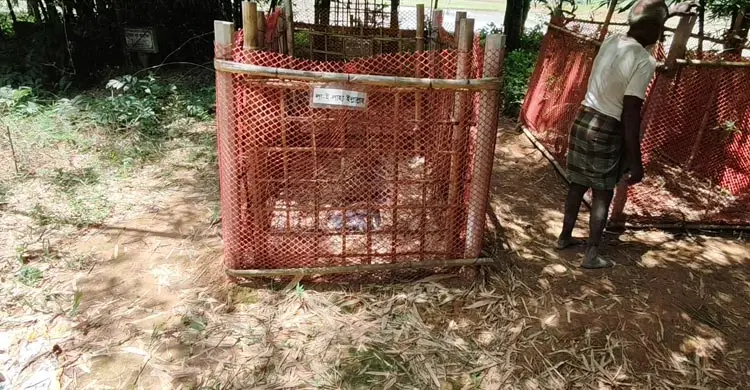 সীমান্তে বিএসএফের হত্যাকাণ্ড, এক বছর পরও শোকে স্তব্ধ দুই পরিবার