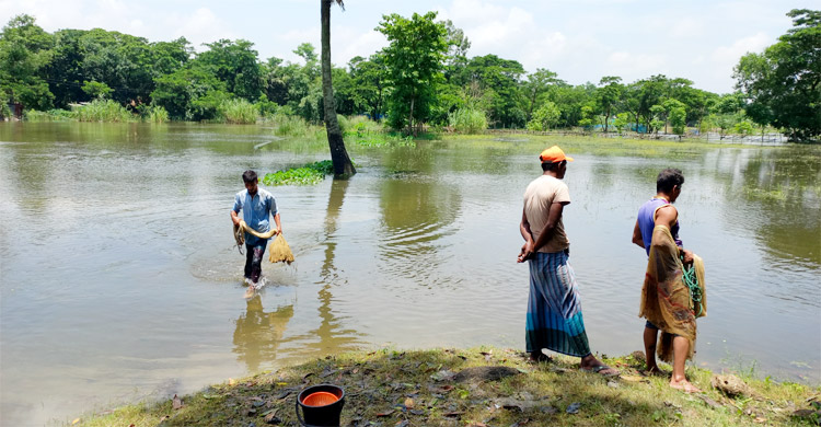 ফেনীতে বন্যা পরিস্থিতির উন্নতি, ধীরগতিতে কমছে পানি