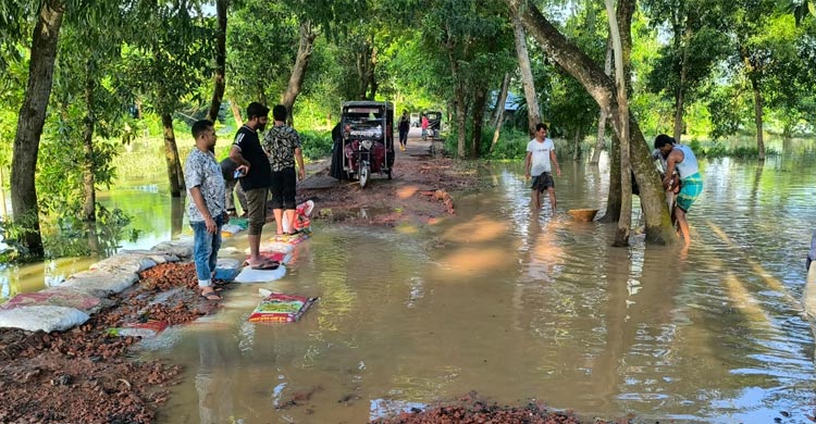 ফেনীতে এবারের বন্যায় ২৩৮ কোটি টাকার ক্ষতি