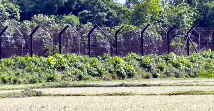 ফেনী সীমান্তে বিএসএফের গুলিতে দুই বাংলাদেশি নিহত