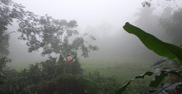 জেঁকে বসেছে শীত, বেড়েছে তীব্রতা