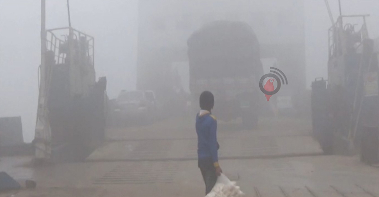 ঘন কুয়াশায় দৌলতদিয়া-পাটুরিয়ায় ফেরি বন্ধ