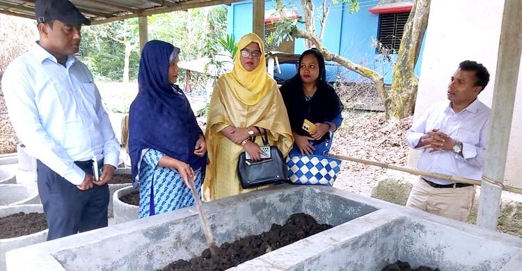 কালীগঞ্জে জৈব সার উৎপাদনে সফল কামরুজ্জামান