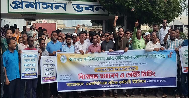 সার কারখানায় গ্যাসের দাম ১৫০% বাড়াতে চায় কেন সরকার?