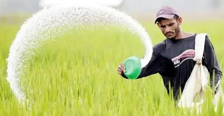 ৯৮০০ কোটি টাকার সার কেনার অনুমোদন দিলো সরকার