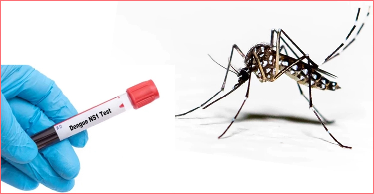 ডেঙ্গুতে মৃত্যু ৬, হাসপাতালে ১৮১৮