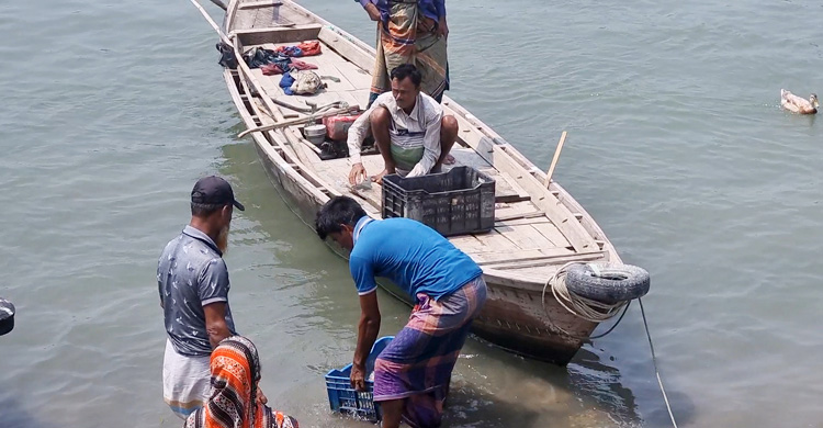 দুইমাস পর কর্মব্যস্ততা ফিরেছে চাঁদপুরের মাছঘাটে