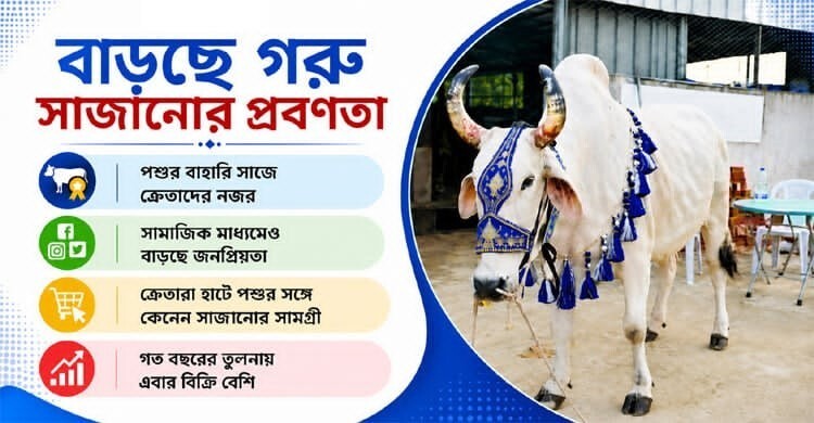 ঈদ বাজারে জমজমাট গরুর সজ্জা বিক্রি