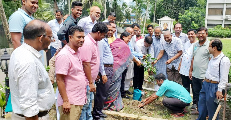 শোকাবহ আগস্ট উপলক্ষে ফেনী বিপিজেএর বৃক্ষরোপণ