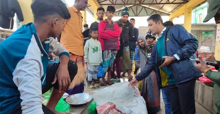 পিরোজপুরে শাপলা পাতা মাছ বিক্রির অভিযোগে তিনজনকে জরিমানা