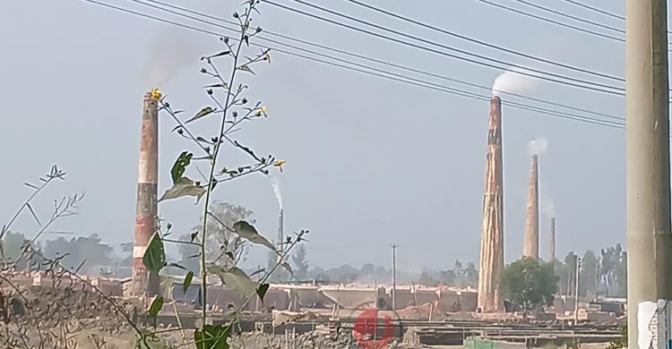 নাকের ডগায় ৩০০ অবৈধ ইটভাটা, জরিমানায় দায় সারছে প্রশাসন