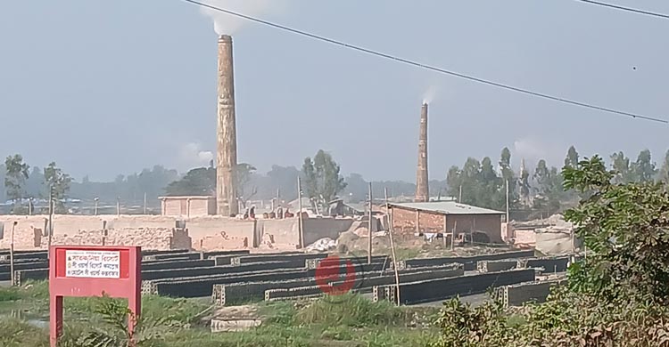নাকের ডগায় ৩০০ অবৈধ ইটভাটা, জরিমানায় দায় সারছে প্রশাসন