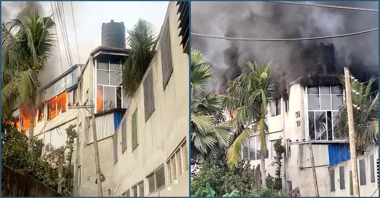 গাজীপুরে প্যাকেজিং কারখানায় অগ্নিকাণ্ড
