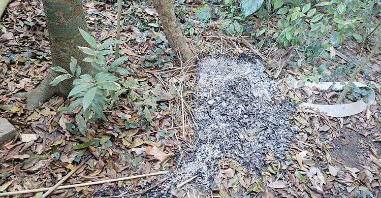 রাতের আঁধারে বীর মুক্তিযোদ্ধার কবরে আগুন