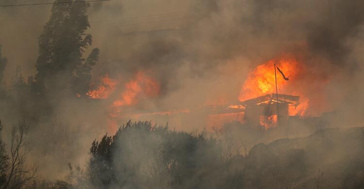 Forest fires kill 51 in Chile, menace urban areas