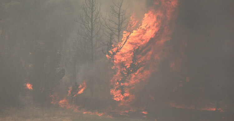 Israel wildfires rage near Jerusalem for 2nd day
