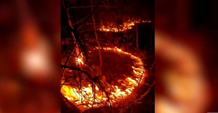 Wildfire kills 10 forest workers, rescuers in Turkey