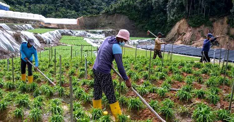 তিনটি প্রধান খাতে বিদেশি কর্মী নিয়োগে সুখবর দিলো মালয়েশিয়া