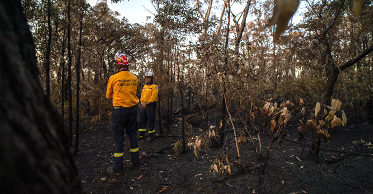 অস্ট্রেলিয়ায় ভয়াবহ দাবানলের আশঙ্কা