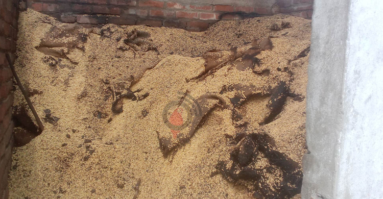 অগ্নিকাণ্ডে পুড়ে ছাই ১২০০ মণ ধান