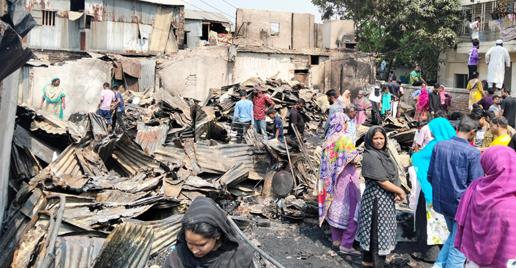 পরনের কাপড়-টিভি-ফ্রিজ-খাট-টাকা সব পুড়ে শেষ