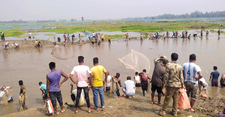 বুড়ির বাঁধে মাছ ধরা উৎসবে মেতেছেন জেলেরা