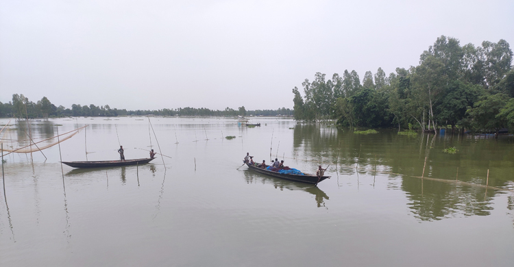 কুড়িগ্রামে বন্যায় ভেসে গেছে ৬৫০ পুকুরের মাছ