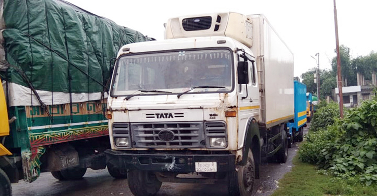 প্রথম চালানে ভারতে গেলো ৪৫ টন পদ্মার ইলিশ