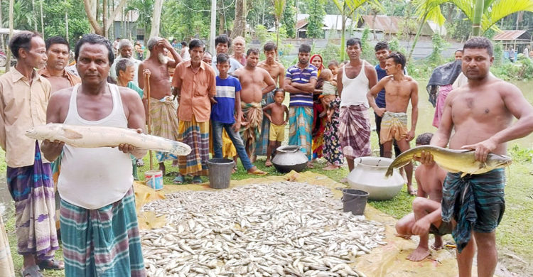 দুর্বৃত্তের কীটনাশকে কপাল পুড়লো দুই ভাইয়ের